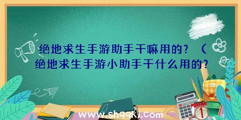 绝地求生手游助手干嘛用的？（绝地求生手游小助手干什么用的？）